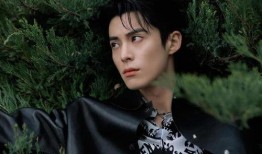 爆料娱乐圈王鹤棣是谁,王鹤棣的崛起之路